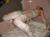 泡だらけのおっぱいにしゃぶりつきたいわ＾～ (画像52枚)037