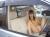 【おっぱい エロ画像】車の暖房より彼女のオッパイで温まりたいｗｗｗ (※動画あり)005