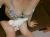 【おっぱい エロ画像】SEXする前に全裸で記念撮影する女ｗｗｗこういう事をする女ってエロいよなぁ～033