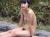 露天風呂で油断している女性の裸体を盗撮！リアルに過ぎてエロ杉ｗｗｗ045