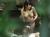 露天風呂で油断している女性の裸体を盗撮！リアルに過ぎてエロ杉ｗｗｗ036