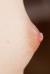 昨日、乳輪から毛が生えてるものだけを愛でる性癖が目覚めたぞ！004