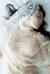 森咲智美エロ画像237枚 乳首解禁ヌードから水着おっぱいまで過激グラビア集めてみた【毎日更新】103