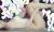 Yahoo!知恵袋で質問されているエロネタをおっぱいに着目してまとめてみた【おっぱい画像】018