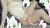 Yahoo!知恵袋で質問されているエロネタをおっぱいに着目してまとめてみた【おっぱい画像】019