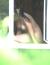 素人の無防備なおっぱいが隠し撮りで流出しまくり！【盗撮画像】063