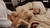 篠田ゆうエロ画像155枚 巨乳・巨尻美女のFカップおっぱいヌードやセックス画像まとめ【毎日更新】091