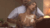 ローションでエロさが通常の3倍!!ぬるぬるのおっぱい画像60+gif120枚!!118