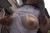 ローションでエロさが通常の3倍!!ぬるぬるのおっぱい画像60+gif120枚!!158