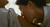 芸能人濡れ場エロGIF画像149枚 有名人の乳首丸出しなセックス動画をエロgifで集めてみた150