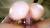 西村ニーナのエロ画像257枚 IカップAV女優の爆乳インスタ自撮りやおすすめの抜ける動画を紹介‼002