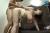西村ニーナのエロ画像257枚 IカップAV女優の爆乳インスタ自撮りやおすすめの抜ける動画を紹介‼024