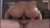 杭打ち騎乗位エロGIF画像74枚 尻フェチ必見な肉感が抜ける腰使いセックス集めてみた052