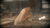バスタオルエロGIF画像30枚 巨乳女のおっぱいポロリや芸能人の谷間・乳揺れ集めてみた041
