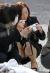 OLパンチラ画像97枚 対面やしゃがみなどスカートから下着がちら見えした瞬間集めてみた043