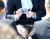 OLパンチラ画像97枚 対面やしゃがみなどスカートから下着がちら見えした瞬間集めてみた059