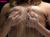 【母乳 乳首】いろんなおっぱいから吹き出る母乳の海に溺れたい、溺れたくない？075