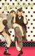 【JK プリクラ】JKたちが悪ふざけで撮ったエロプリ集めたったｗｗｗ025
