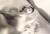 小松千春エロ画像214枚 元グラドルの剛毛ヘアヌードやAV堕ちしたセックス＆おすすめ動画集めてみた184