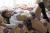 椎名香奈江エロ画像191枚 パイアートや水着からはみ出す巨尻グラビア集めてみた160