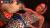 藤本紫媛エロ画像217枚 妖艶なFカップ巨乳黒ギャルの挑発セックスやヌード・抜ける動画集めてみた184