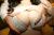 佐々木恋海エロ画像208枚 むっちりEカップ美女のスケベフェラ顔や着衣セックス＆おすすめ動画集めてみた180