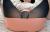 本田岬エロ画像290枚＆おすすめ動画5選 Fカップ色気ムンムンお姉さんのヌードや主観セックス集めてみた197
