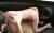 竹内真琴エロ画像246枚＆おすすめ動画5選 Dカップショートカットロリ少女の背徳セックス集めてみた040