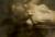 辰巳奈都子エロ画像227枚 Dカップ元グラドルの透けセミヌードや水着グラビア集めてみた079