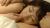 波瑠エロ画像113枚 ミステリアスな清楚系女優の乳揉み濡れ場シーンや貴重な水着グラビア集めてみた010