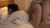 【GIF】ムラっと来るエロジフ画像2023年5月27日号029