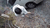 【GIF】ムラっと来るエロジフ画像2023年5月28日号007