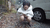 【GIF】ムラっと来るエロジフ画像2023年5月28日号008