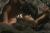 天海祐希エロ画像31枚 元宝塚スター女優の手ブラセミヌードや濡れ場・胸チラショット集めてみた026