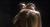 天海祐希エロ画像31枚 元宝塚スター女優の手ブラセミヌードや濡れ場・胸チラショット集めてみた028