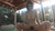 【GIF】ムラっと来るエロジフ画像2023年6月6日号058