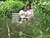 【GIF】ムラっと来るエロジフ画像2023年6月7日号045