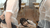 【GIF】ムラっと来るエロジフ画像2023年6月11日号056