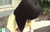 【GIF】ムラっと来るエロジフ画像2023年6月23日号029