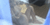 【GIF】ムラっと来るエロジフ画像2023年6月29日号025