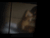 【GIF】ムラっと来るエロジフ画像2023年6月29日号039