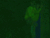 【GIF】ムラっと来るエロジフ画像2023年6月25日号028