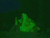 【GIF】ムラっと来るエロジフ画像2023年6月25日号035