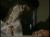 松雪泰子エロ画像14枚 ベテラン大女優のDカップブラジャーおっぱい丸出しな濡れ場やお宝グラビア集めてみた007