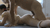 【GIF】ムラっと来るエロジフ画像2023年7月7日号054