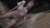 【GIF】ムラっと来るエロジフ画像2023年7月26日号030