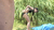 【GIF】ムラっと来るエロジフ画像2023年7月28日号051