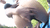 【GIF】ムラっと来るエロジフ画像2023年7月28日号053