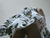 【GIF】ムラっと来るエロジフ画像2023年7月28日号092