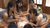 【GIF】ムラっと来るエロジフ画像2023年7月28日号024